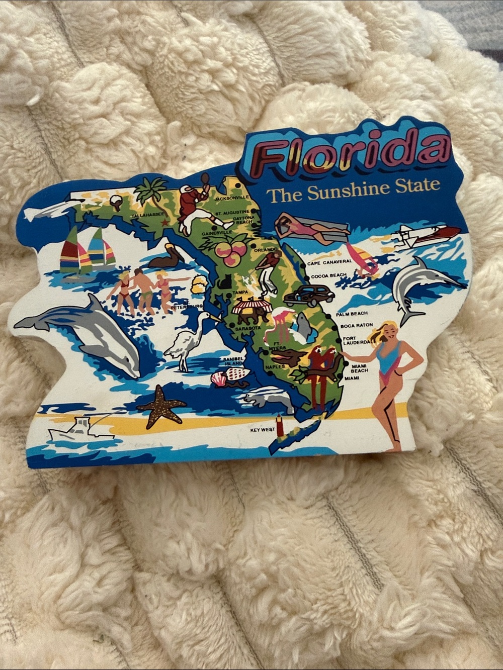 The Cats Meow Florida The Sunshine State Decorative Plaque -